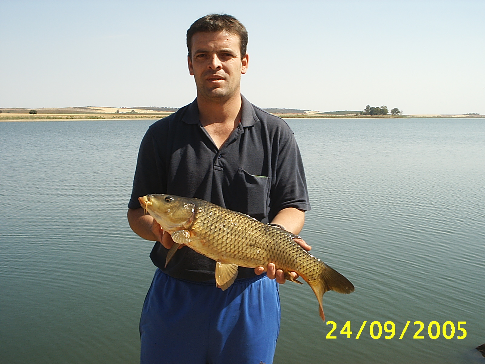 Pieza Mayor en El Vicario